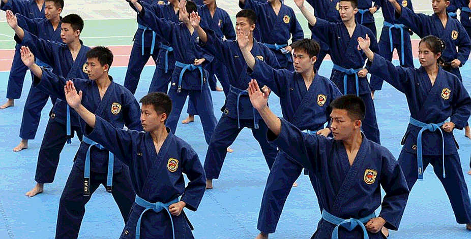 Võ thuật Việt Nam: một cái nhãn, ba bộ luật và khoảng trống dữ liệu không ai gọi tên